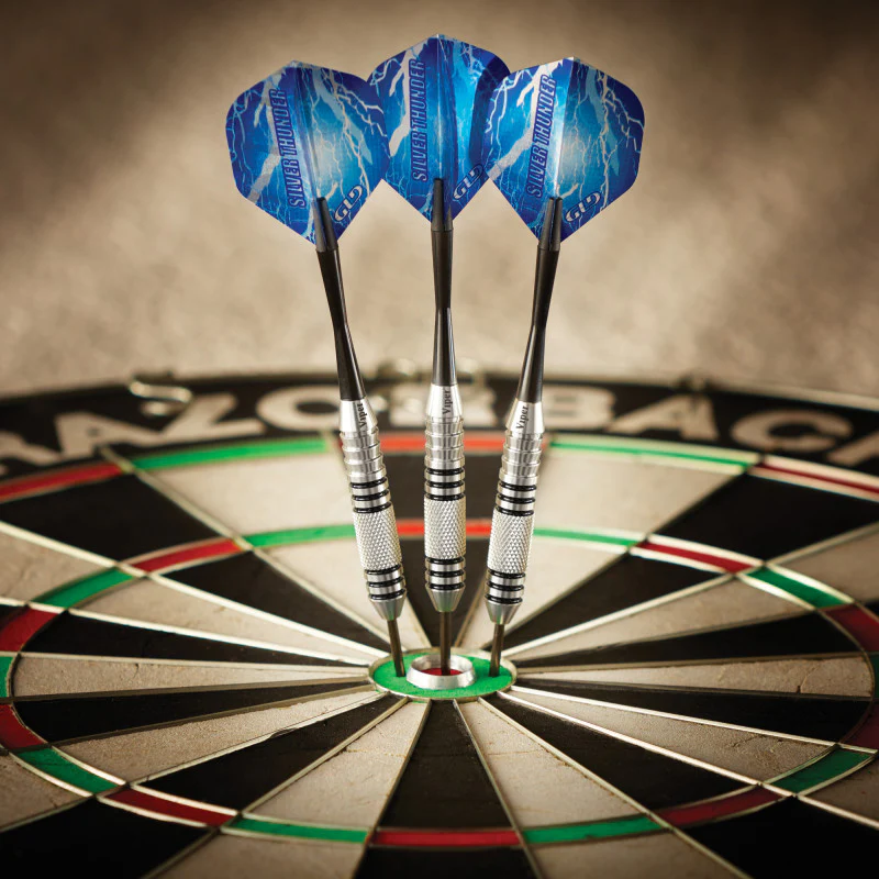Viper Silver Thunder Darts Steel Tip Darts 24 Grams - Image 6