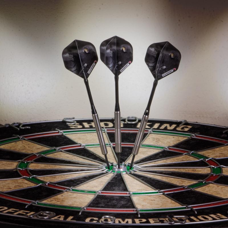 Elkadart Wizard 80% Tungsten Steel Tip Darts 20 Grams - Image 2
