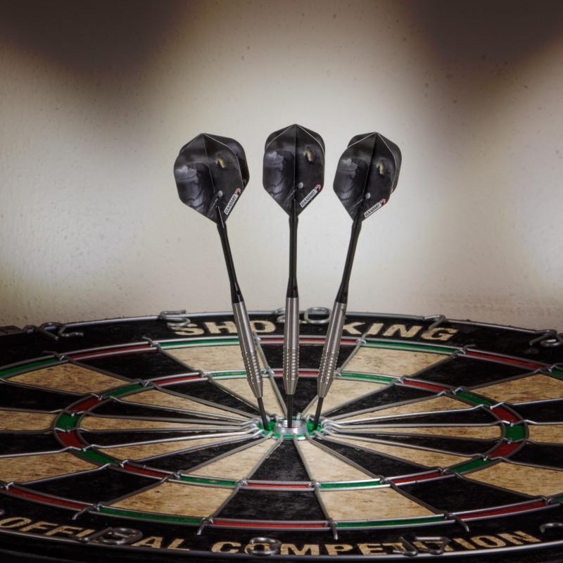 Elkadart Wizard 80% Tungsten Steel Tip Darts 21 Grams - Image 2